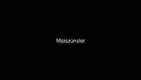 Maiszünsler